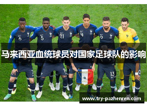 马来西亚血统球员对国家足球队的影响