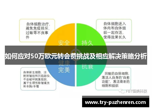 如何应对50万欧元转会费挑战及相应解决策略分析