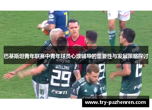 巴基斯坦青年联赛中青年球员心理辅导的重要性与发展策略探讨