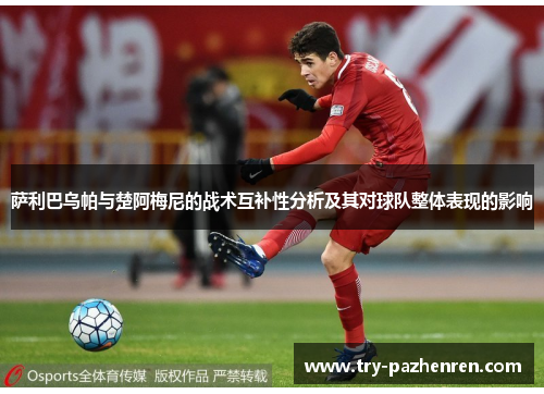 萨利巴乌帕与楚阿梅尼的战术互补性分析及其对球队整体表现的影响