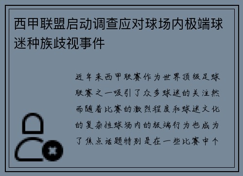 西甲联盟启动调查应对球场内极端球迷种族歧视事件