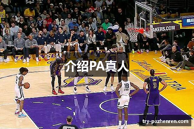 介绍PA真人